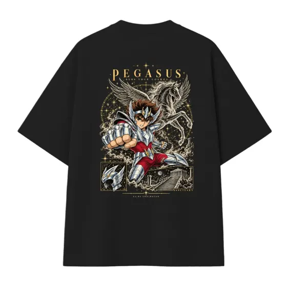 Remera Pegasus oversize, espalda